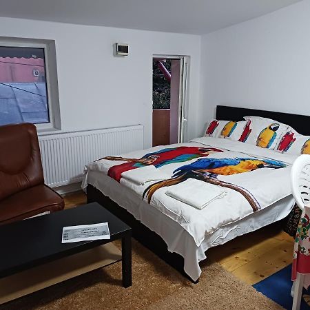 Sara 3 Dormitoare Nu Primesc Santieristi Si Petrecareti Villa Bucharest Luaran gambar