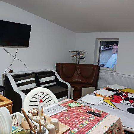 Sara 3 Dormitoare Nu Primesc Santieristi Si Petrecareti Villa Bucharest Luaran gambar