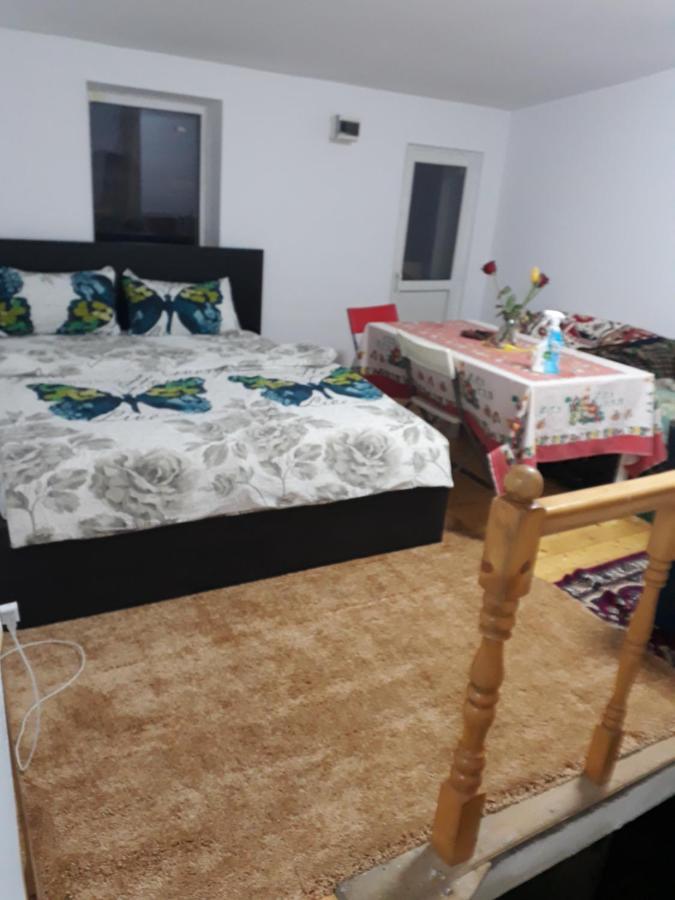 Sara 3 Dormitoare Nu Primesc Santieristi Si Petrecareti Villa Bucharest Luaran gambar
