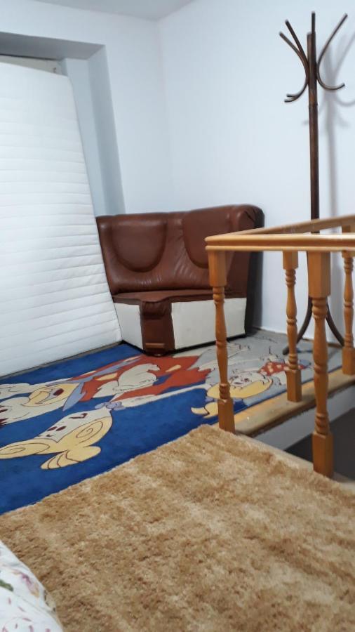 Sara 3 Dormitoare Nu Primesc Santieristi Si Petrecareti Villa Bucharest Luaran gambar
