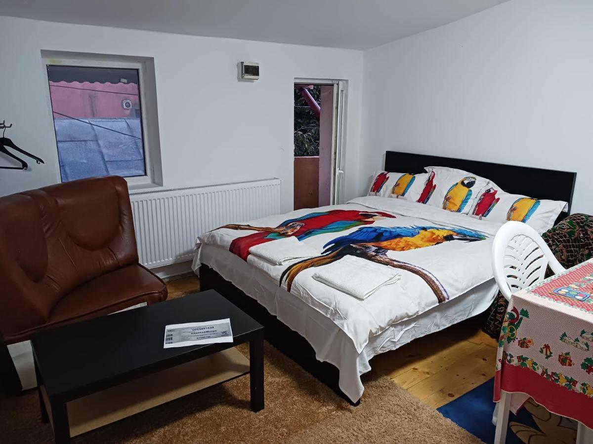 Sara 3 Dormitoare Nu Primesc Santieristi Si Petrecareti Villa Bucharest Luaran gambar