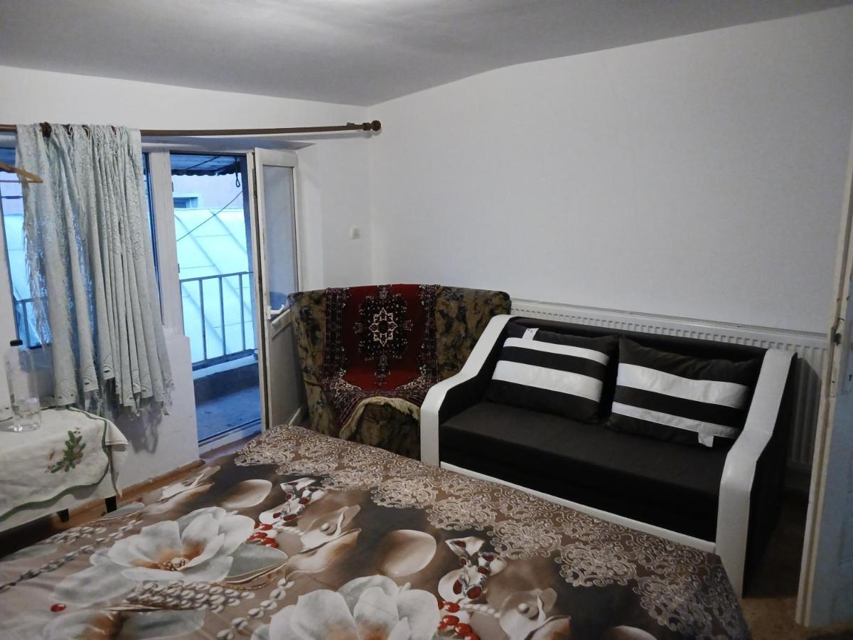 Sara 3 Dormitoare Nu Primesc Santieristi Si Petrecareti Villa Bucharest Luaran gambar